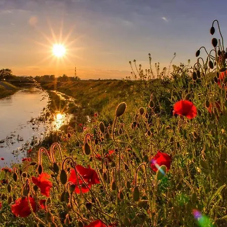 Ortenau Neuried (Baden-Wurttemberg)